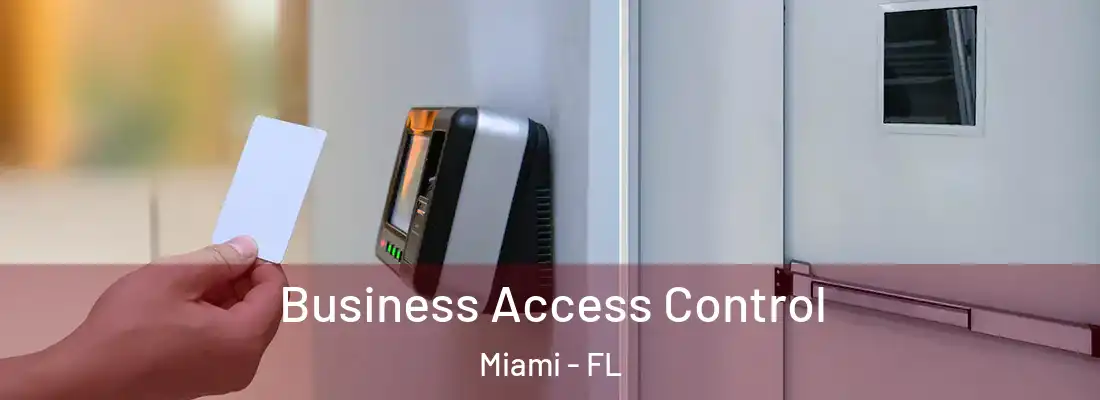 Business Access Control Miami - FL