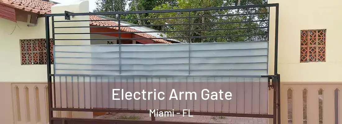 Electric Arm Gate Miami - FL