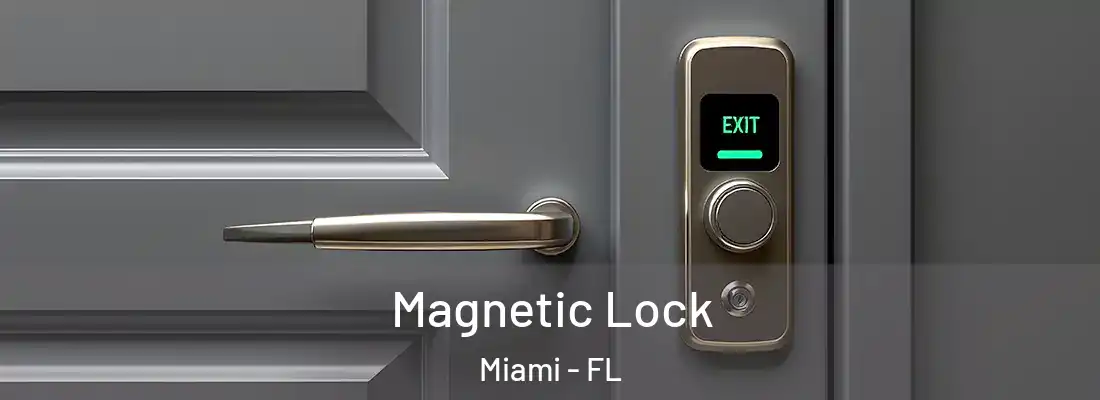 Magnetic Lock Miami - FL